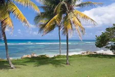 Hospitality Expert Mccartney - Tour Pool Bar Beach Montego Bay 0*,  Jamaica